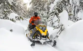 Снежные следы на пути к правде: МВД Казахстана раскрыло сеть преступных групп в масштабной спецоперации