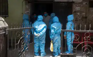 В Индии зафиксирована вспышка неизлечимого вируса Нипах: власти принимают меры для сдерживания распространения инфекции в Западной Бенгалии