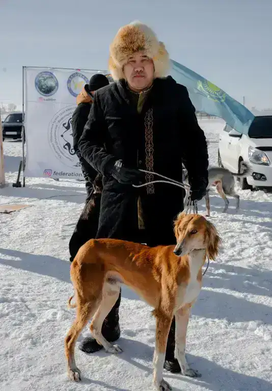 Традиции степи: самых быстрых тазы выбрали в Бухар-Жырауском районе (5)