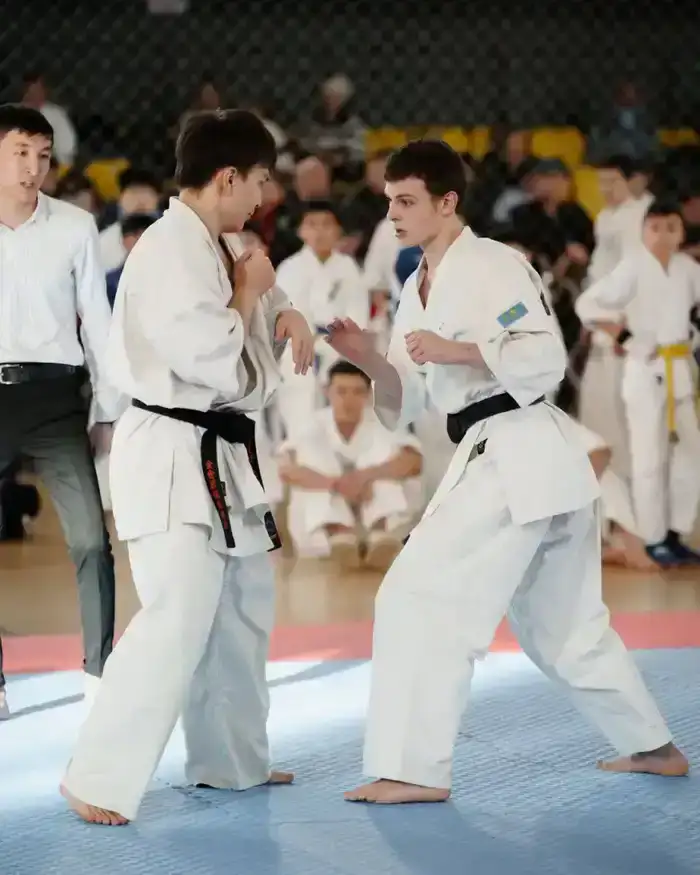 «Закон и порядок»: турнир по кёкушин будокай каратэ пройдет в Астане (8)