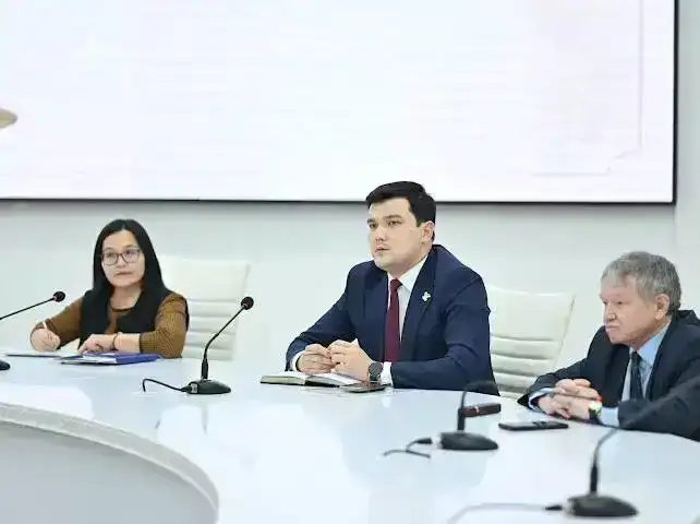 Конституционная реформа в Казахстане: международный диалог и президентские инициативы