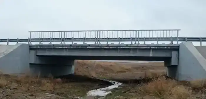 В области Жетісу решается проблема аварийных мостов (3)