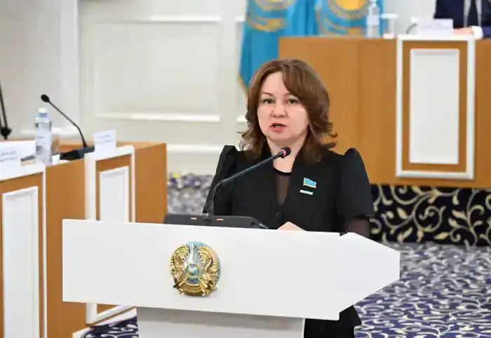 Новая Конституция РК: архитектура правовых переходов и временных рамок – взгляд Снежанны Имашевой