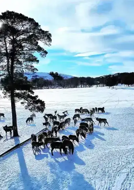 Экоотели и визит-центр: Каркаралинский нацпарк представил новые проекты для инвесторов (6)