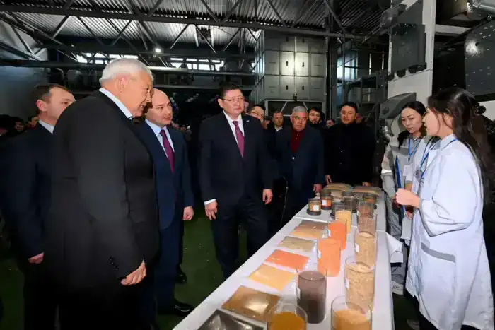 В области Абай открыт завод по переработке бобовых и масличных культур (8)