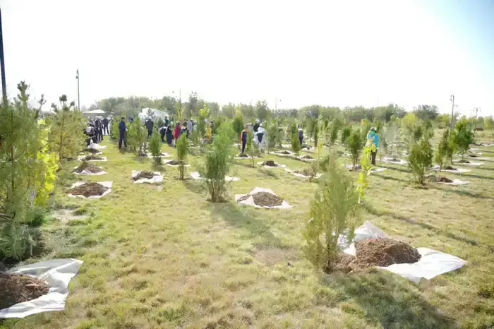 «ТАЗА КАЗАХСТАН»: В ПРОШЛОМ ГОДУ В ТУРКЕСТАНСКОЙ ОБЛАСТИ ВЫСАЖЕНО БОЛЕЕ 1 МЛН САЖЕНЦЕВ (2)