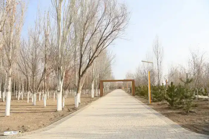 Глава региона осмотрел строительные площадки (6)