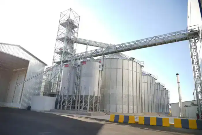 Экспорт мяса из Туркестанской области более 60 тысяч тонн в 2025 году