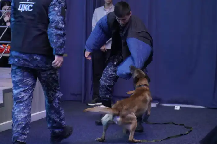 КВН и полиция: как смех спасает от наркотиков!