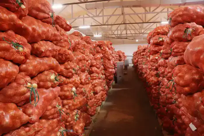 В Байзакском районе обсуждают развитие сельского хозяйства