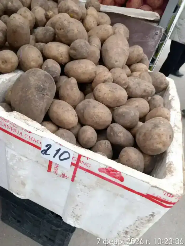 На ярмарке в Актау из стабилизационного фонда было реализовано 2 тонны картофеля (5)