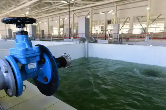 Алматы: от ЖКХ к цифровому двойнику — будущее уже близко!