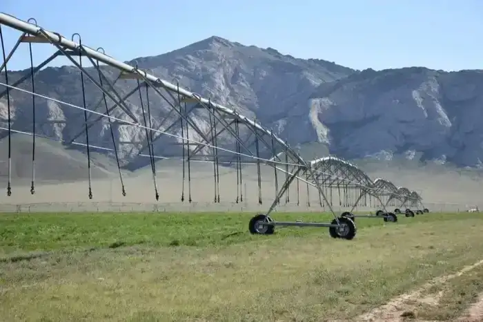 Созакский район: экономика на подъеме!