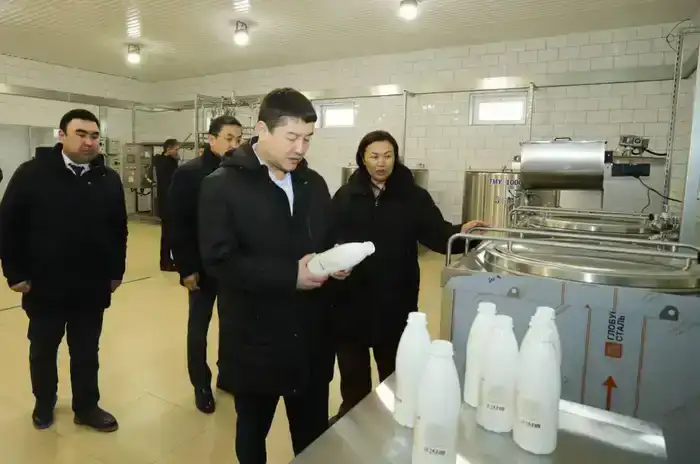 Нурдаулет Килыбай ознакомился со строительством социальных и производственных объектов в Мунайлинском районе (3)