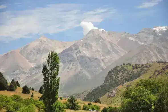В ТУРКЕСТАНСКОЙ ОБЛАСТИ ПРИВЕДУТ В ПОРЯДОК УЛИЦЫ НЕСКОЛЬКИХ РАЙОНОВ И ГОРОДОВ И УЛУЧШАТ АРХИТЕКТУРУ ОБЪЕКТОВ (4)