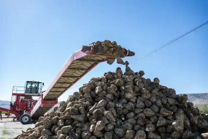 Бейбит Исабаев обозначил шесть приоритетов развития области Жетісу (4)