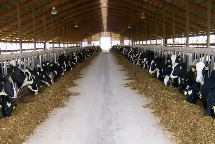 В САУРАНСКОМ РАЙОНЕ ОБЪЕМ РЕГИОНАЛЬНОГО ПРОДУКТА СОСТАВИЛ ОКОЛО 150 МЛРД ТЕНГЕ (4)