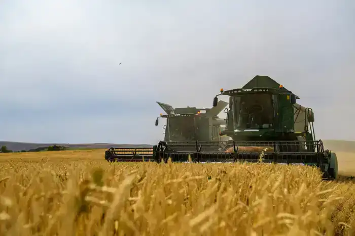 Бейбит Исабаев обозначил шесть приоритетов развития области Жетісу (5)