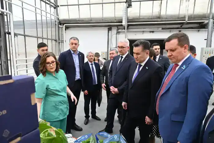 Визит делегации ВКО в Барнаул: изучение передового опыта тепличного производства