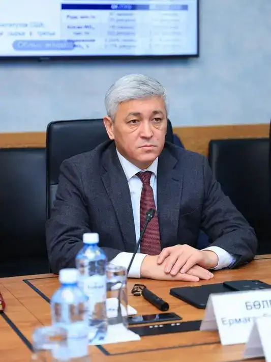 Ермаганбет Булекпаев встретился с руководством «Тау-Кен Самрук» и американскими инвесторами (5)