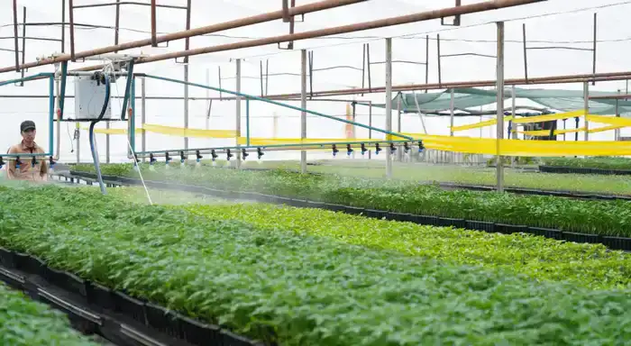 Технологии водосбережения в Туркестанской области: пример для международного агропромышленного сектора