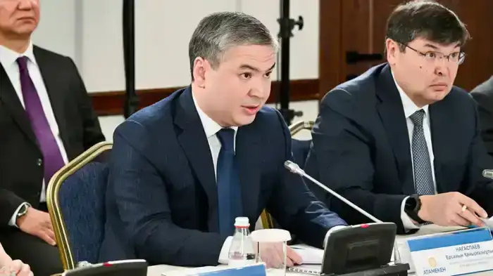 Ход регистрации в Реестре казахстанских товаропроизводителей и выявление лжепроизводителей