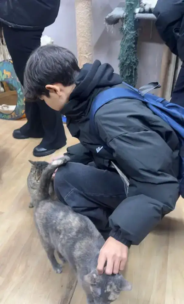 Школьники Астаны собрали помощь для приюта животных в рамках благотворительного мероприятия