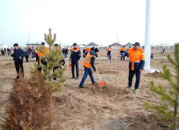 «ТАЗА КАЗАХСТАН»: В ПРОШЛОМ ГОДУ В ТУРКЕСТАНСКОЙ ОБЛАСТИ ВЫСАЖЕНО БОЛЕЕ 1 МЛН САЖЕНЦЕВ (5)
