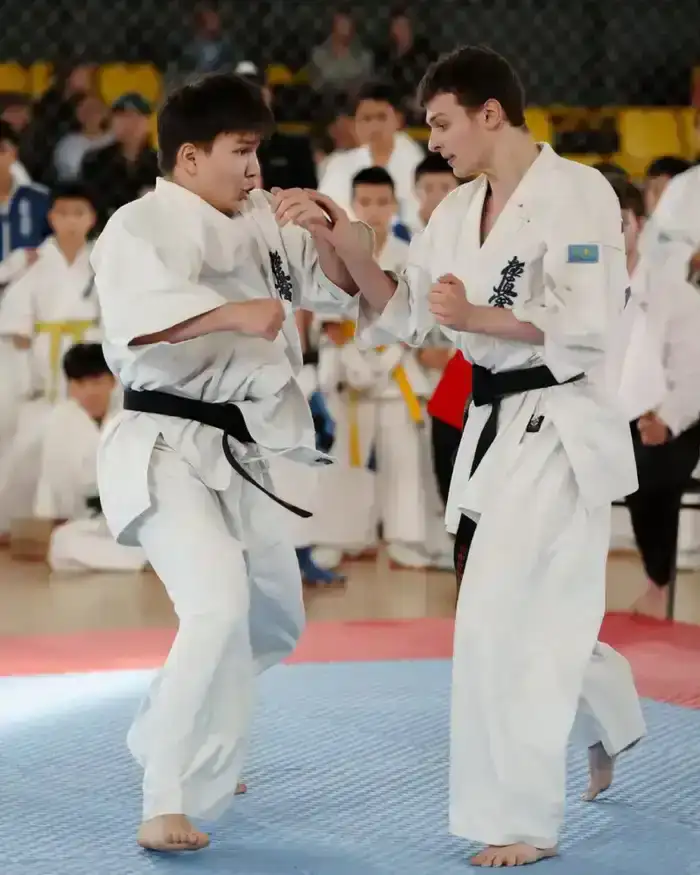 «Закон и порядок»: турнир по кёкушин будокай каратэ пройдет в Астане (6)