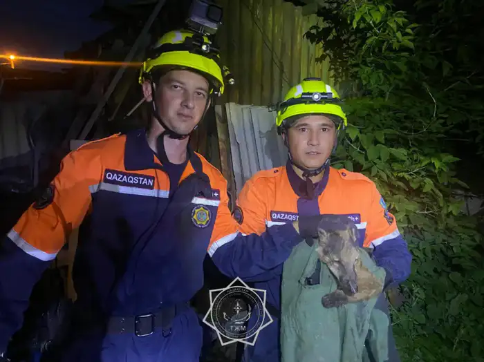 В 2025 году спасатели МЧС спасли более 400 животных по всей стране (6)