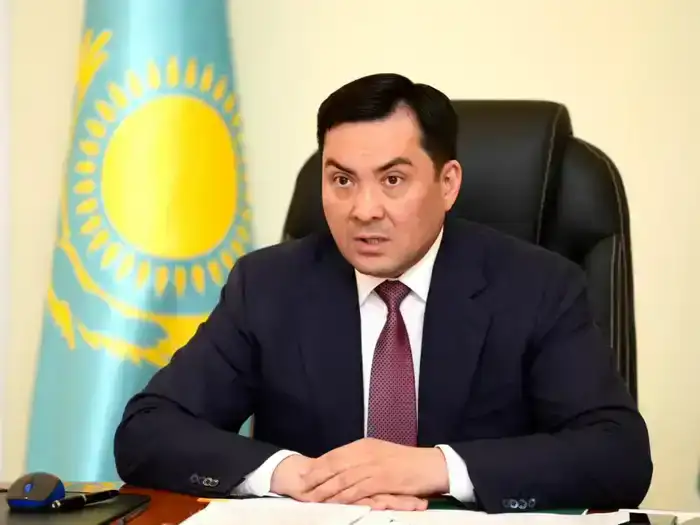 Газификация Астаны и поддержка бизнеса: Ерлан Аккенженов провел онлайн-прием граждан на площадке «AMANAT» (2)