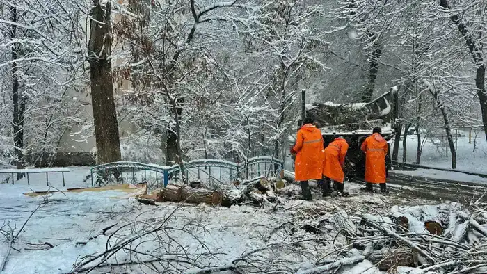Из-за непогоды коммунальные службы Жамбылской области перешли на усиленный режим работы (4)