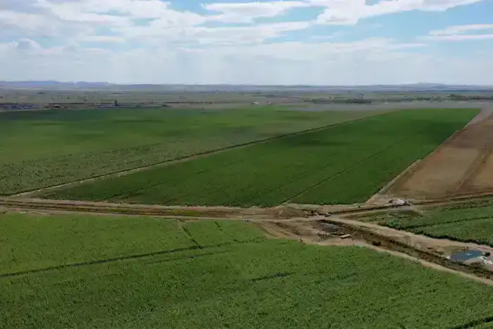 В области обсудили поддержку агропромышленного комплекса и стабилизацию цен на социально значимые продукты питания (10)