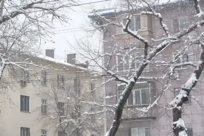 Кровли под контролем: управляющим компаниям напомнили о зимней безопасности (2)