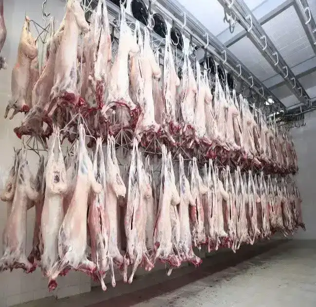 ТУРКЕСТАНСКАЯ ОБЛАСТЬ ЭКСПОРТИРОВАЛА ЗА РУБЕЖ БОЛЕЕ 60 ТЫСЯЧ ТОНН МЯСА, СТАВ ЛИДЕРОМ В РЕСПУБЛИКЕ (4)