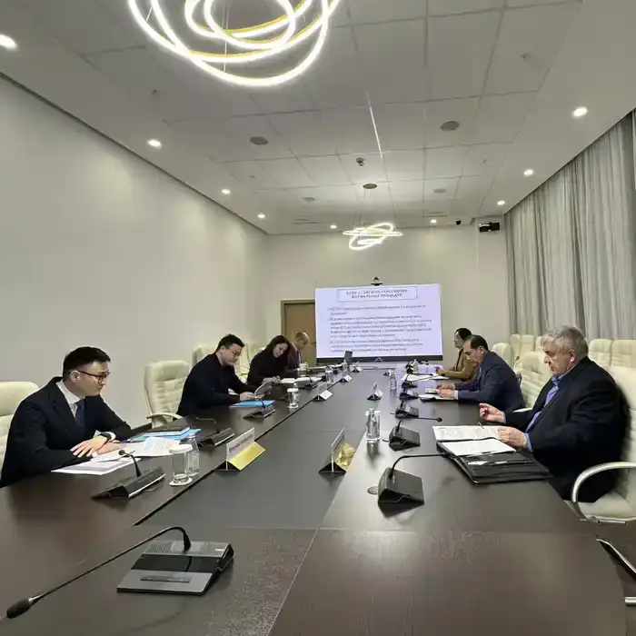 АСПиР РК и Всемирный банк обсудили вопросы совершенствования процедур привлечения займов международных финансовых организаций (4)