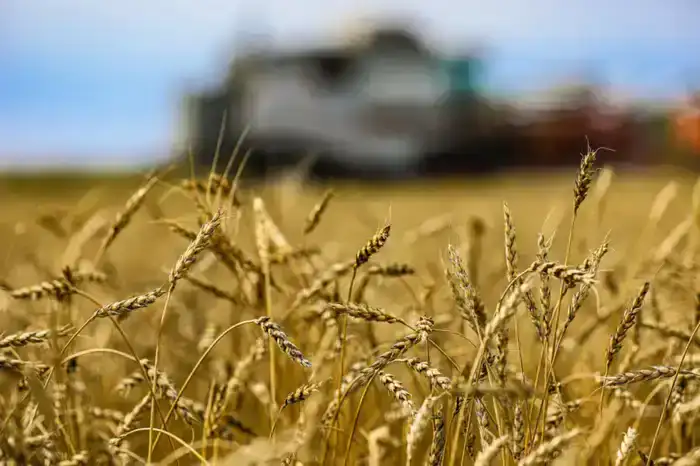 Казахстан: Прогресс в глубокой переработке сельхозпродукции и его влияние на агропромышленный рынок