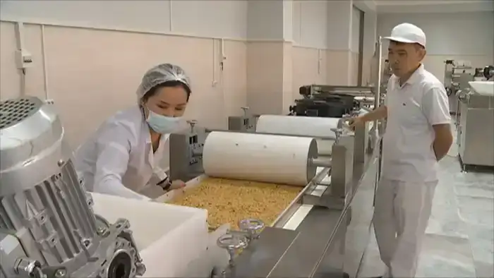 В Алматы утвердили программу развития предпринимательства Almaty Business до 2030 года (3)