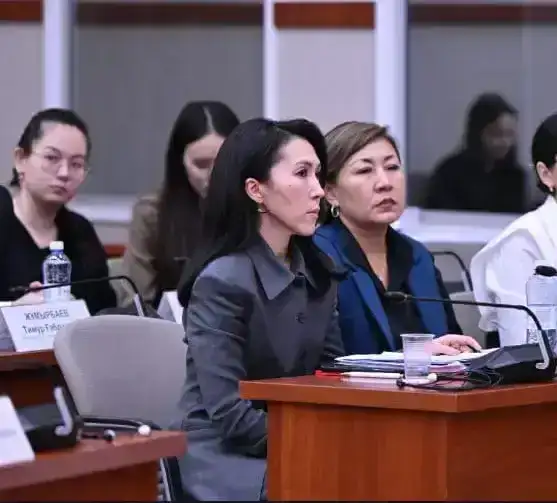 Обсуждение новой Конституции Казахстана: вклад в международный диалог о правовых реформах