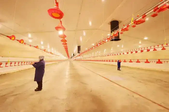 Ербол Карашукеев ознакомился с развитием сельского хозяйства в Байзакском районе (7)