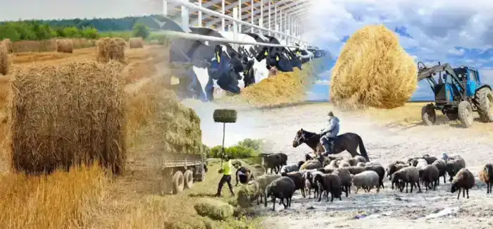 Сельхозкооперативы в Казахстане увеличились с 2840 до 4465 за 5 лет