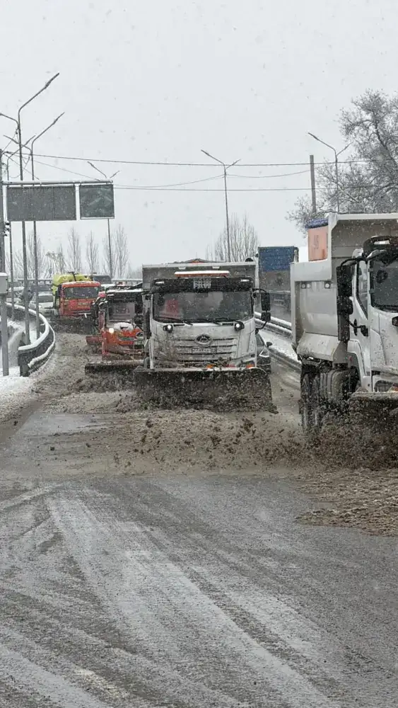 Более 4 тыс. рабочих и 1250 единиц техники: Алматы в четвертый раз за сутки проводит сплошную очистку улиц (3)