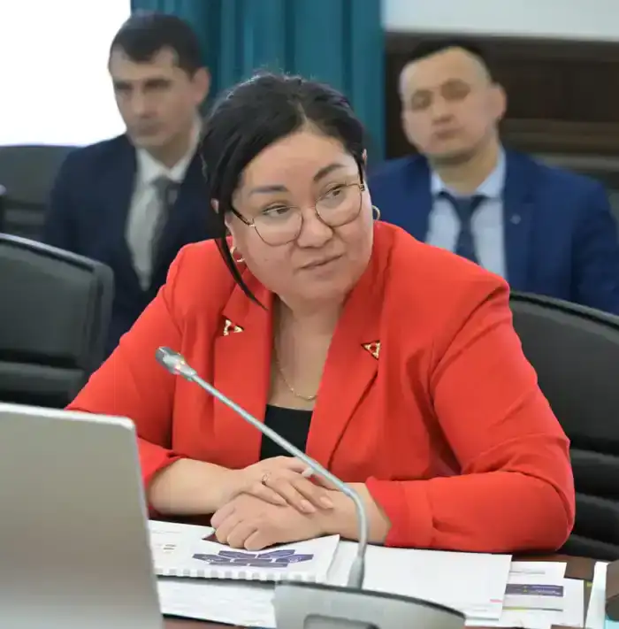 В акимате Павлодарской области обсудили реализацию проектов цифровизации в региональной экономике (9)