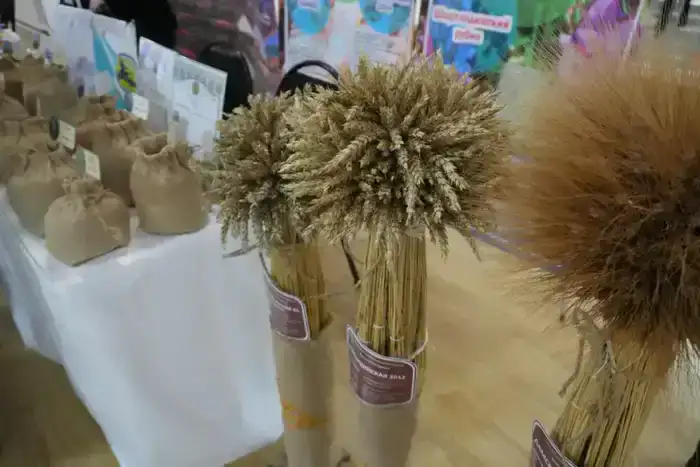 Конференция-выставка «День семян – Тұқым-2026. Атбасар» прошла в Акмолинской области (2)