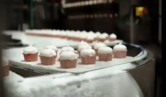 Впервые экспорт превысил импорт: исторический рубеж для казахстанской отрасли мороженого (3)