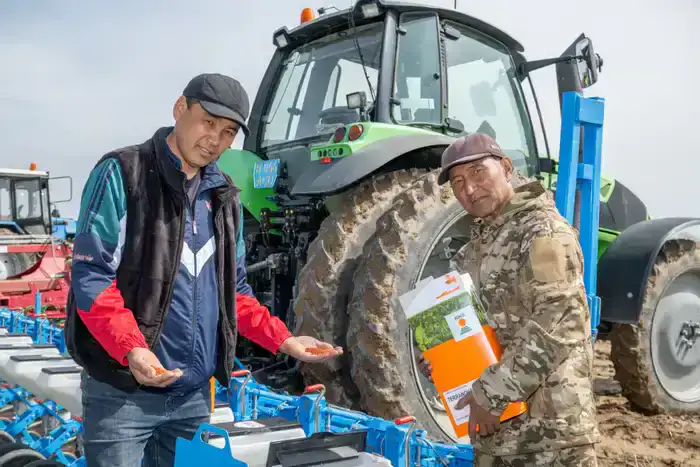 Весенне-полевая кампания в Жетісу: подготовлено 17,4 тыс. единиц семян сахарной свеклы