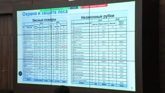 Увеличение лесных культур и охраняемых территорий: шаг к устойчивому экологии Казахстана