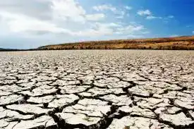 Зеленые горизонты Центральной Азии: Региональный экологический саммит 2026 о будущем землепользования