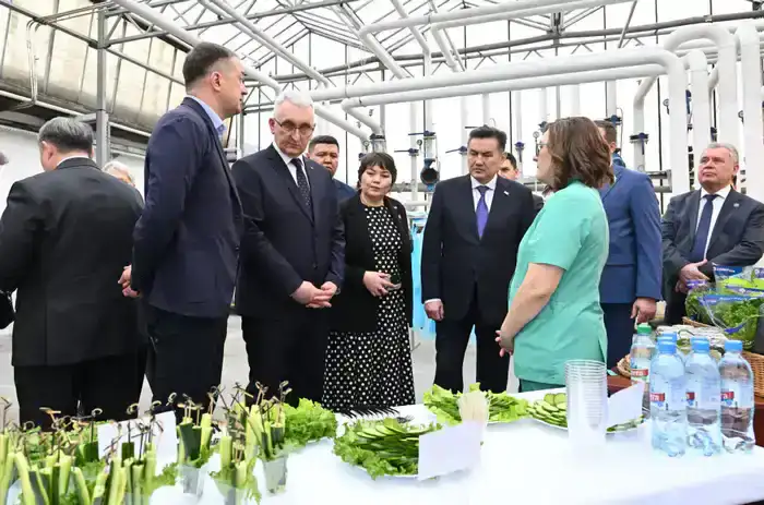 Делегация ВКО ознакомилась с работой крупнейшей теплицы в Барнауле (3)