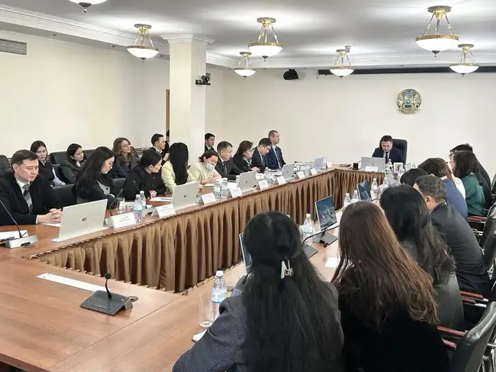 В Минтруда обсудили реализацию Концепции инклюзивной политики с экспертами проекта Сената «Талдау мектебі – Школа аналитики» (6)